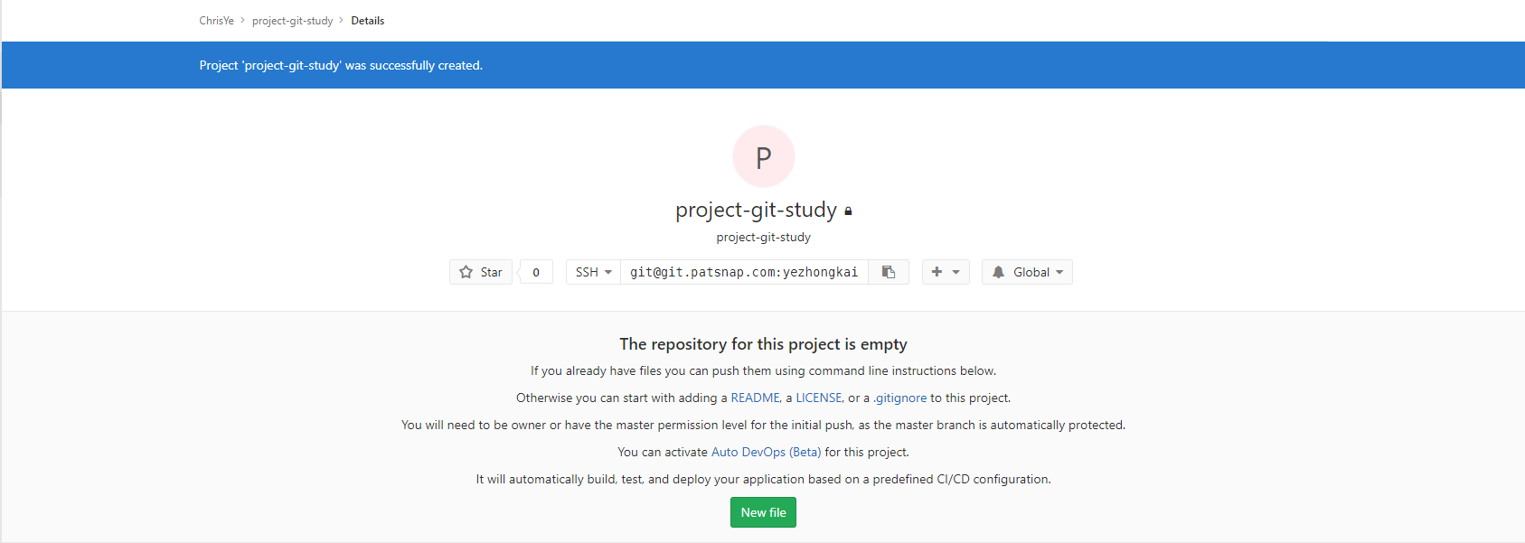 Git lab new project